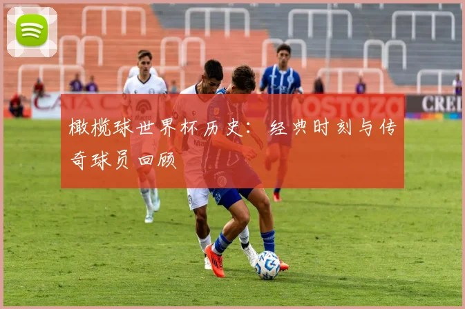 橄榄球世界杯历史：经典时刻与传奇球员回顾