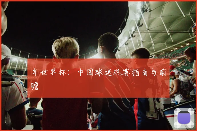 年世界杯：中国球迷观赛指南与前瞻