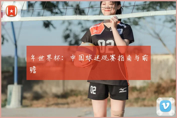 年世界杯：中国球迷观赛指南与前瞻